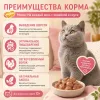 Мнямс На каждый день Влажный корм с индейкой для взрослых кошек, выведение шерсти, 85 г