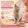 Мнямс На каждый день Влажный корм с индейкой для взрослых кошек, выведение шерсти, 85 г