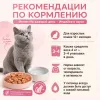 Мнямс На каждый день Влажный корм с индейкой для взрослых кошек, выведение шерсти, 85 г
