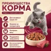 Мнямс На каждый день Влажный корм с телятиной для активных кошек, 85 г