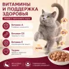 Мнямс На каждый день Влажный корм с телятиной для активных кошек, 85 г