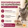 Мнямс На каждый день Влажный корм с телятиной для активных кошек, 85 г