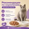 Мнямс На каждый день Влажный корм с ягнёнком в соусе для комфортного пищеварения кошек, 85 г