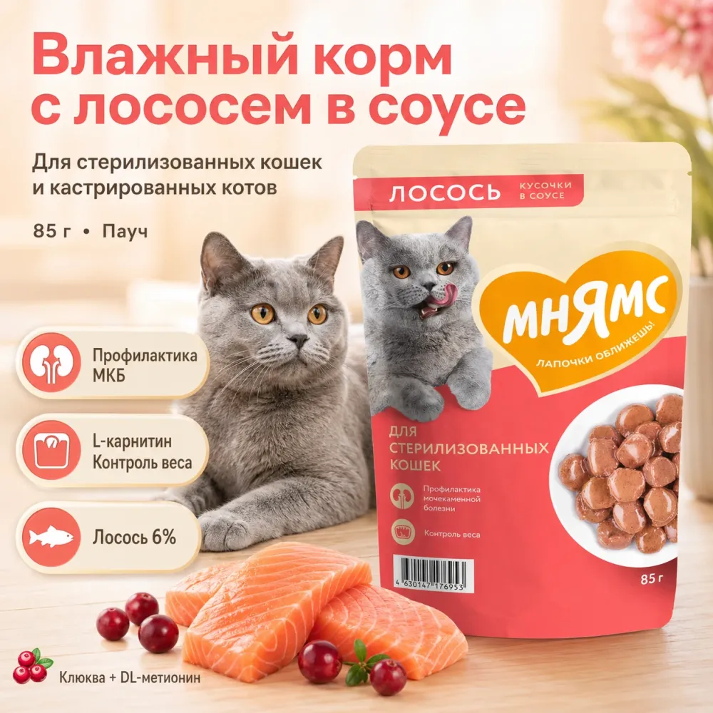 Мнямс Влажный корм для стерилизованных кошек и кастрированных котов с лососем в соусе, пауч 85 г