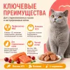 Мнямс Влажный корм для стерилизованных кошек и кастрированных котов с лососем в соусе, пауч 85 г