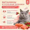 Мнямс Влажный корм для стерилизованных кошек и кастрированных котов с лососем в соусе, пауч 85 г