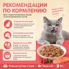 Мнямс Влажный корм для стерилизованных кошек и кастрированных котов с лососем в соусе, пауч 85 г
