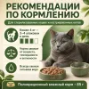 Мнямс Влажный корм с кроликом в соусе для стерилизованных кошек и кастрированных котов, 85 г