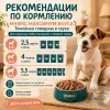Мнямс Максимум Вкуса Влажный корм с томлёной говядиной в соусе для собак малых и средних пород, 85 г