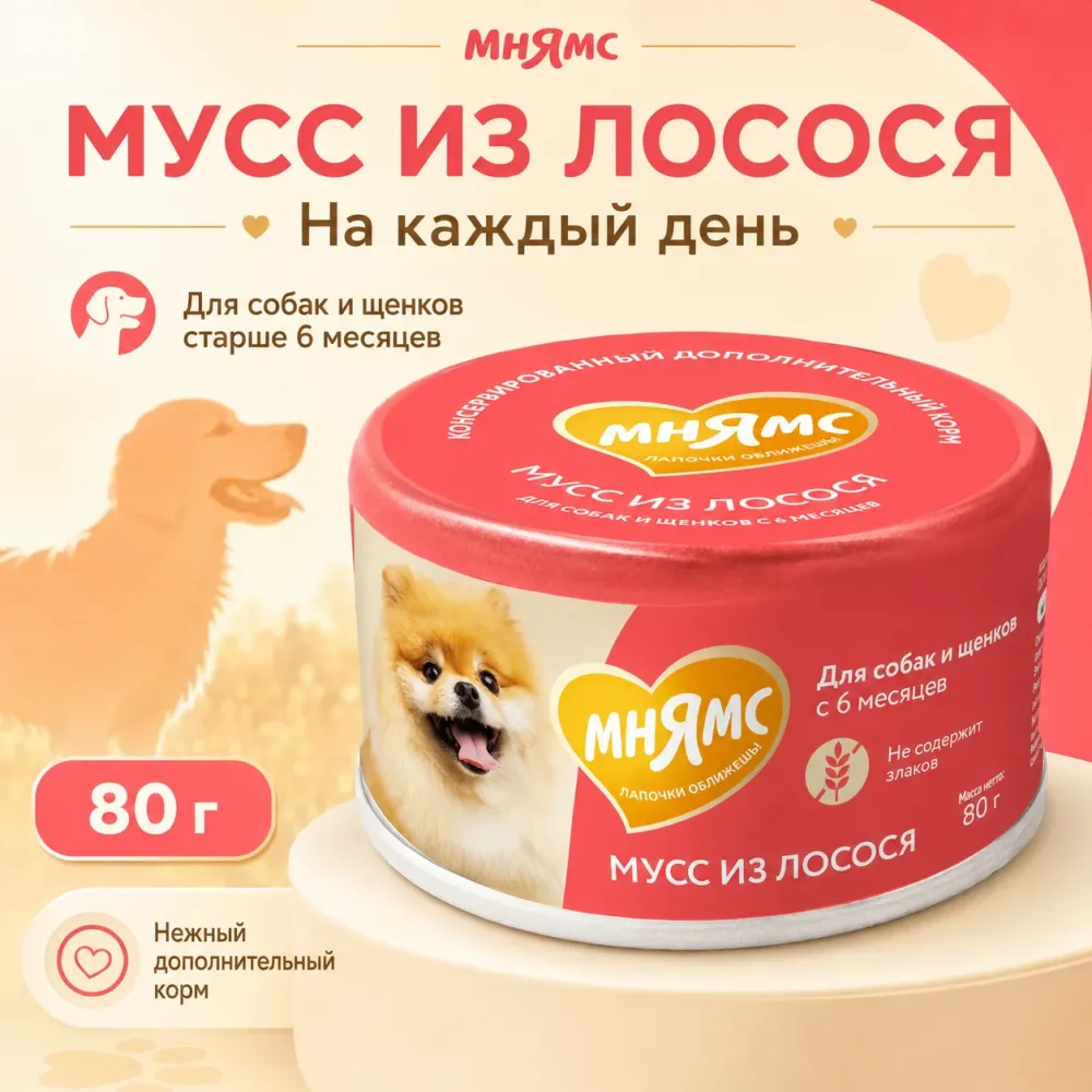 Мнямс На каждый день Мусс из лосося — дополнительный влажный корм для собак и щенков старше 6 месяцев, 80 г