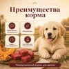 Мнямс Деликатес Асадо по-аргентински паштет с телятиной и тыквой для щенков, 200 г