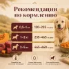 Мнямс Деликатес Асадо по-аргентински паштет с телятиной и тыквой для щенков, 200 г