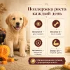 Мнямс Деликатес Асадо по-аргентински паштет с телятиной и тыквой для щенков, 200 г