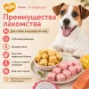 Мнямс На каждый день Фросты с лососем, манго и питахайей для собак и щенков, 24 шт