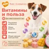 Мнямс На каждый день Фросты с лососем, манго и питахайей для собак и щенков, 24 шт