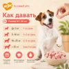 Мнямс На каждый день Фросты с лососем, манго и питахайей для собак и щенков, 24 шт