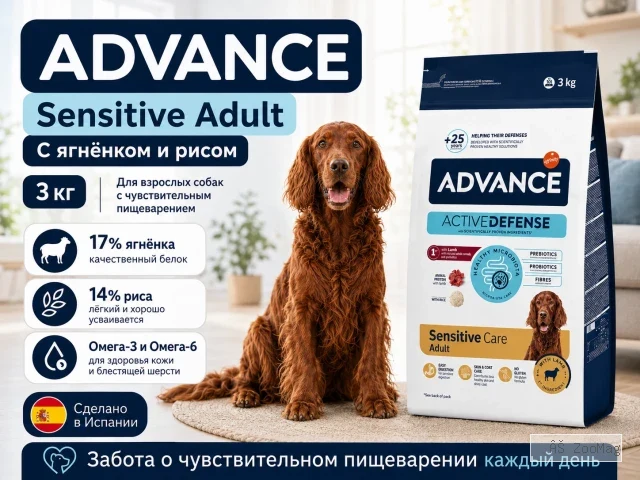 Advance Sensitive Adult с ягнёнком и рисом — сухой корм для взрослых собак, 3 кг