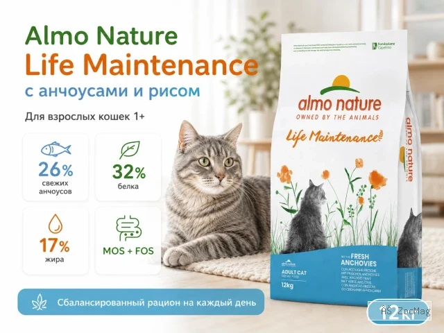 Almo Nature Life Maintenance с анчоусами — сухой корм для взрослых кошек, 12 кг