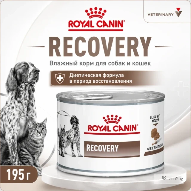 Royal Canin Recovery влажный диетический корм для собак и кошек 195 г