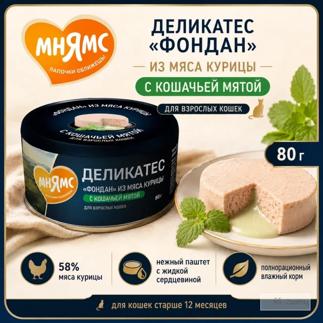 Мнямс Деликатес влажный корм «Фондан» из курицы с кошачьей мятой для взрослых кошек, 80 г