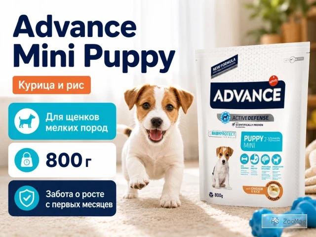 Advance Mini Puppy с курицей и рисом — сухой корм для щенков мелких пород, 800 г