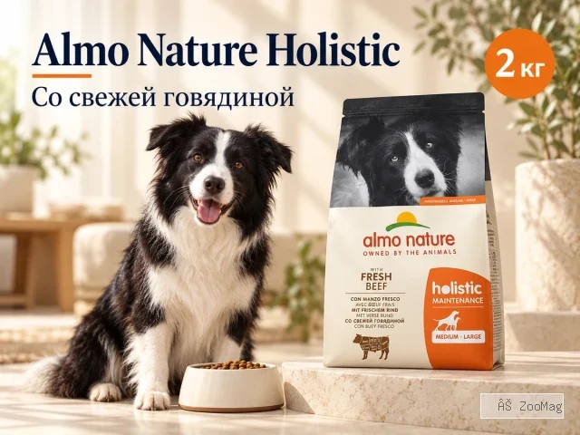 Almo Nature Holistic Maintenance Medium Large со свежей говядиной сухой корм для взрослых собак средних и крупных пород, 2 кг