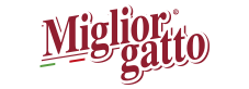 Miglior Gatto